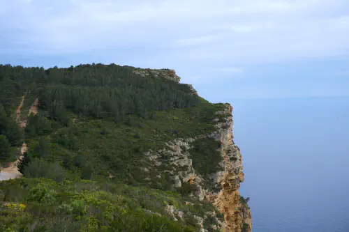 DSC05590